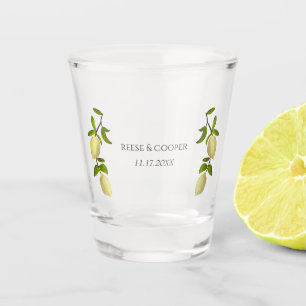 Vaso De Chupito Limones Pintados Frescos de Cítrico Moderno Medite