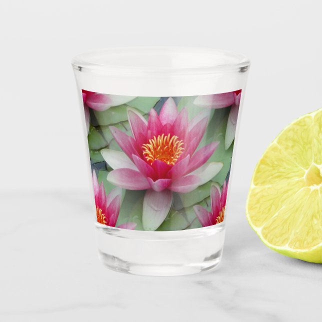 Vaso De Chupito Lirio de agua de Lotus rosa (Anverso)