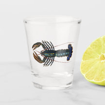 Lobster - Homard Comun