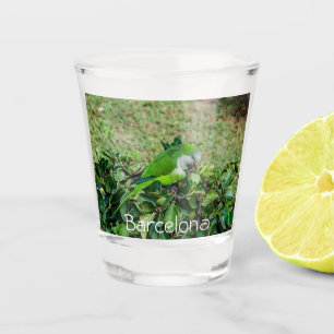 Vaso De Chupito Loro verde