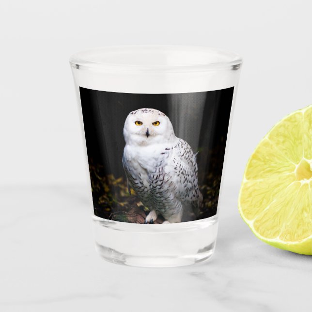 Vaso De Chupito Majestuoso búho de invierno (Anverso)