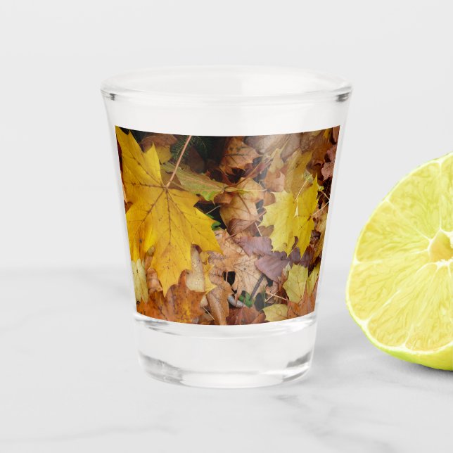 Vaso De Chupito Maple caído deja naturaleza otoño amarilla (Anverso)