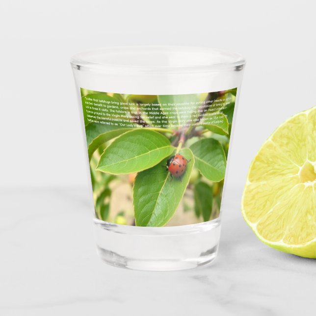 Vaso De Chupito Mariquita Afortunada  (Anverso)