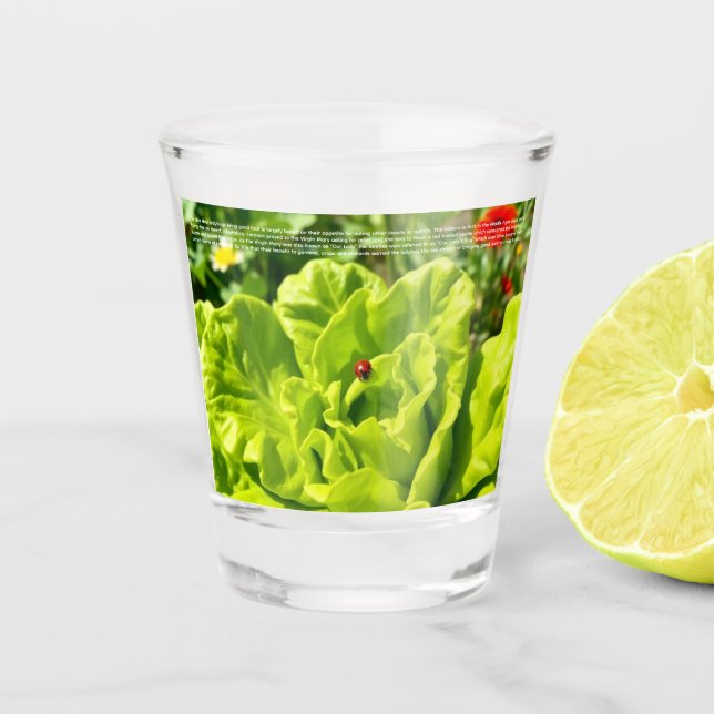 Vaso De Chupito Mariquita Afortunada  (Anverso)