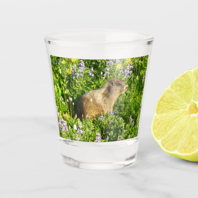 Vaso De Chupito Marmot en Mont Rainier Wildflowers (Anverso)