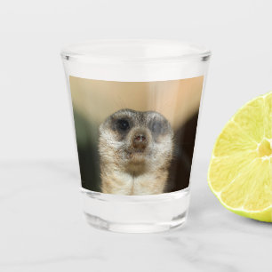 Vaso De Chupito Meerkat 023