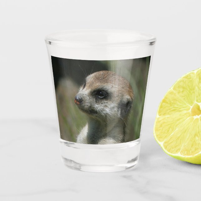 Vaso De Chupito Meerkat 043 (Anverso)