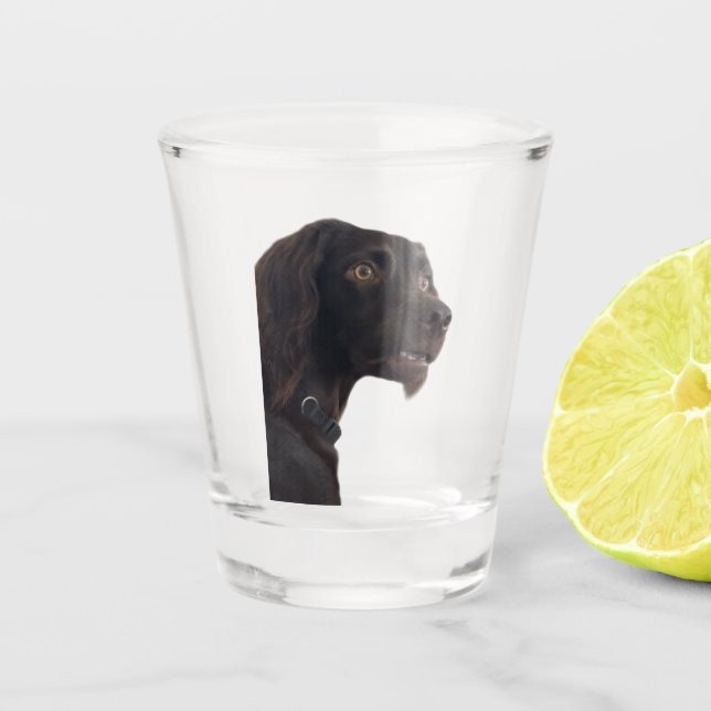 Vaso De Chupito Meme confuso para perros con vidrio caliente (Anverso)