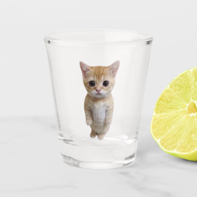 Vaso De Chupito Meme de gato de vidrio caliente El Gato (Anverso)