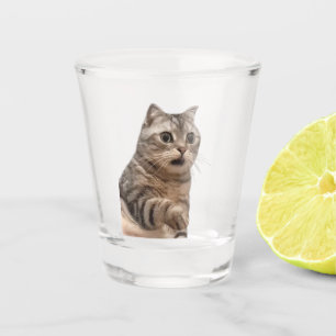 Vaso De Chupito Meme de gato impactado por vidrio caliente