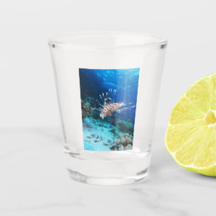 Vaso De Chupito Millas de Lionfish o Pterois, peces de arrecifes o