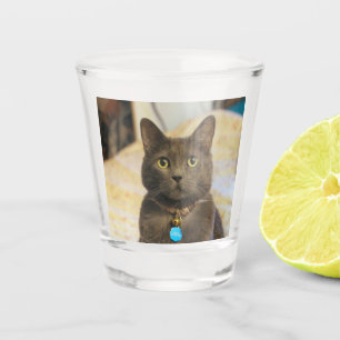 Vaso De Chupito Mims