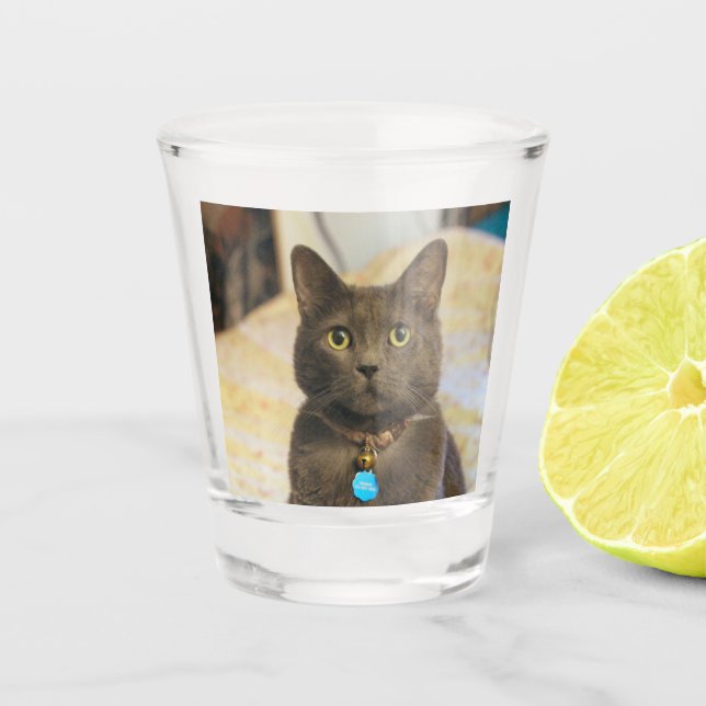 Vaso De Chupito Mims (Anverso)