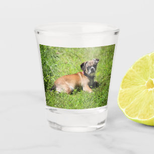 Vaso De Chupito Molly