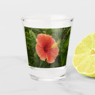 Vaso De Chupito Naranja Hibiscus Flower Tropical Floral