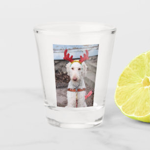 Vaso De Chupito Navidades Ollie