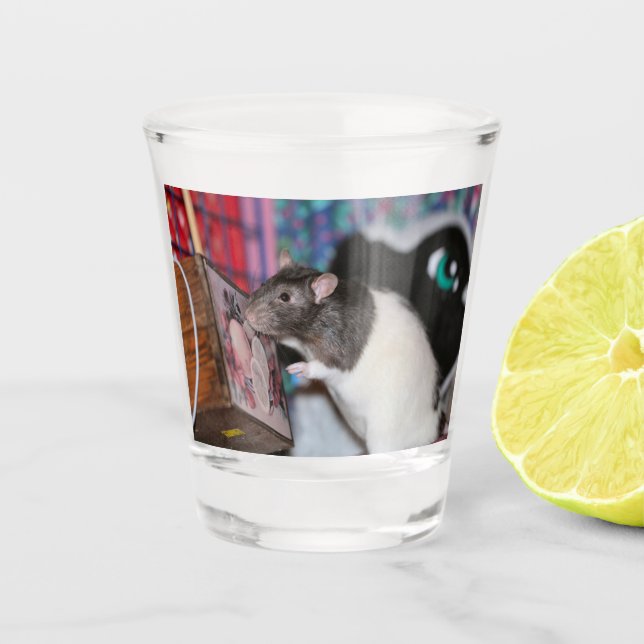 Vaso De Chupito Nosey Rat (Anverso)