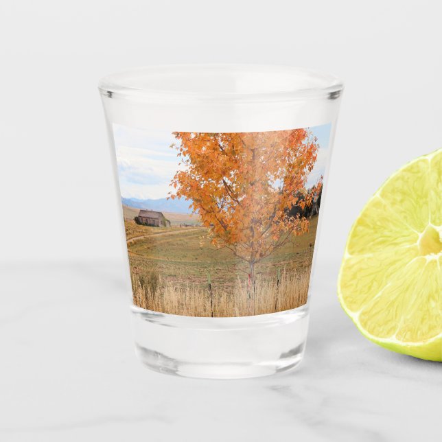 Vaso De Chupito Octubre Brillante  (Anverso)