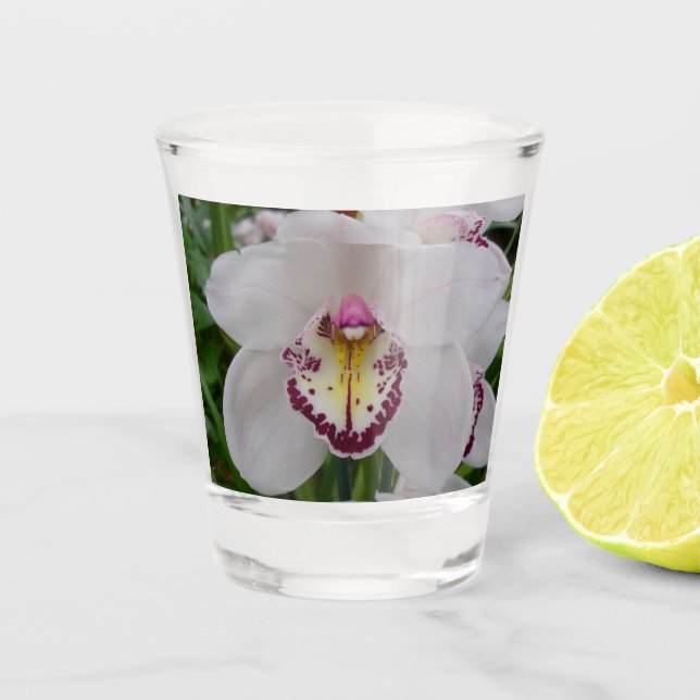 Vaso De Chupito Orquídea Blanca II Elegante Floral (Anverso)