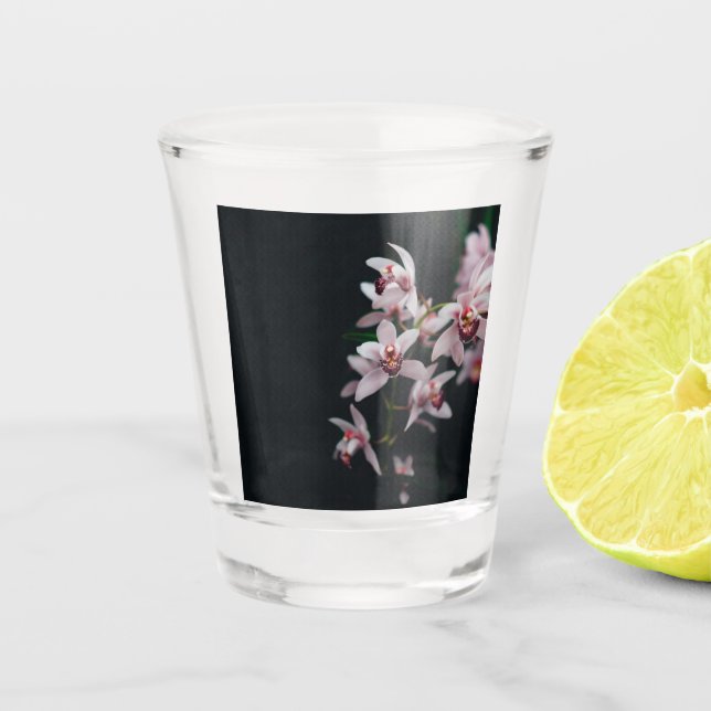 Vaso De Chupito Orquídea Flor Negro fondo (Anverso)