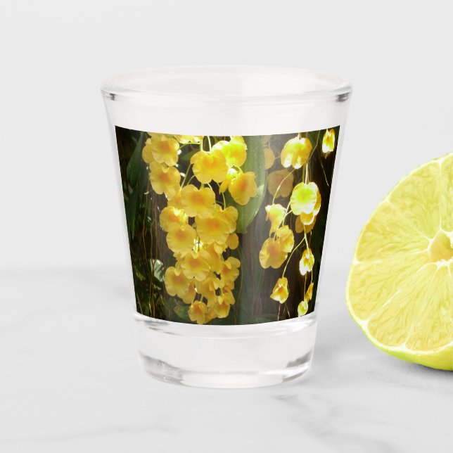 Vaso De Chupito Orquídeas Amarillas colgando flores tropicales (Anverso)