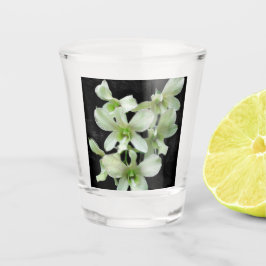 Vaso De Chupito Orquídeas Blancas
