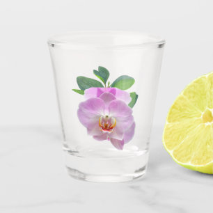 Vaso De Chupito Orquídeas Púrpura