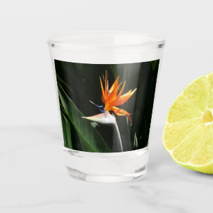 Vaso De Chupito Pájaro del Naranja del paraíso Flor tropical