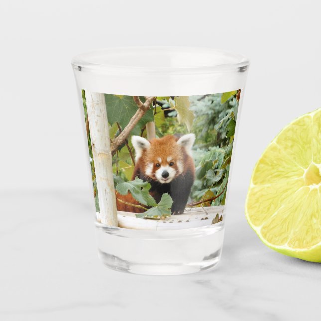 Vaso De Chupito Panda rojo (Anverso)