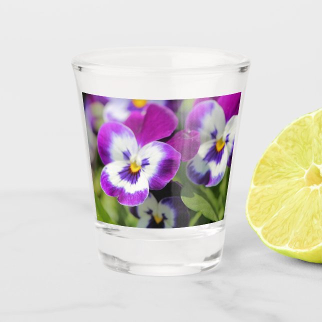 Vaso De Chupito Panorama (Anverso)