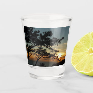 Vaso De Chupito Panorama de Torrey Pine Sunset