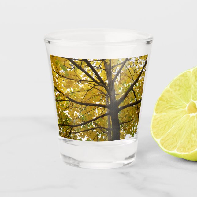Vaso De Chupito Pareja de arce amarillo naturaleza otoñal (Anverso)