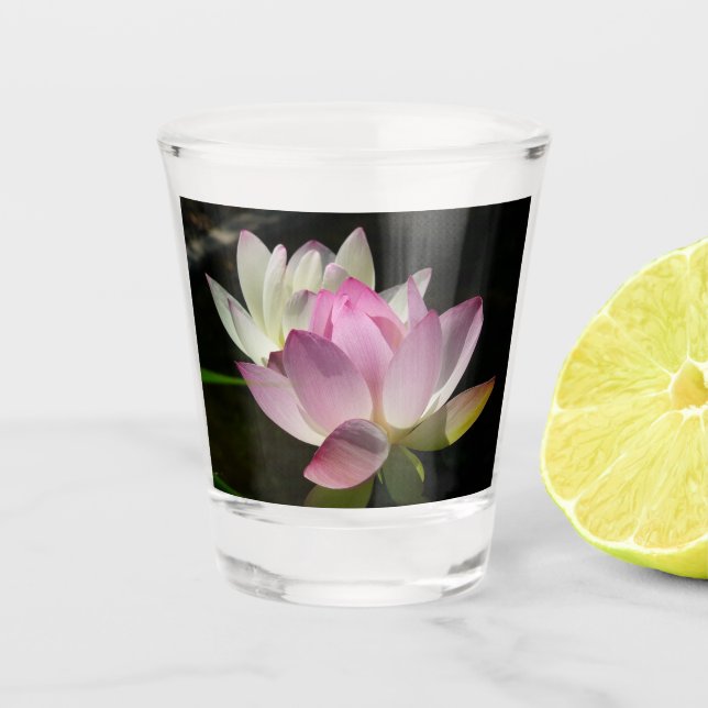 Vaso De Chupito Pareja de flores de Lotus II (Anverso)