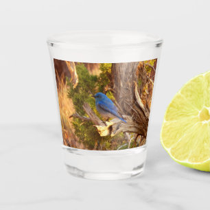 Vaso De Chupito Parque nacional de Arches