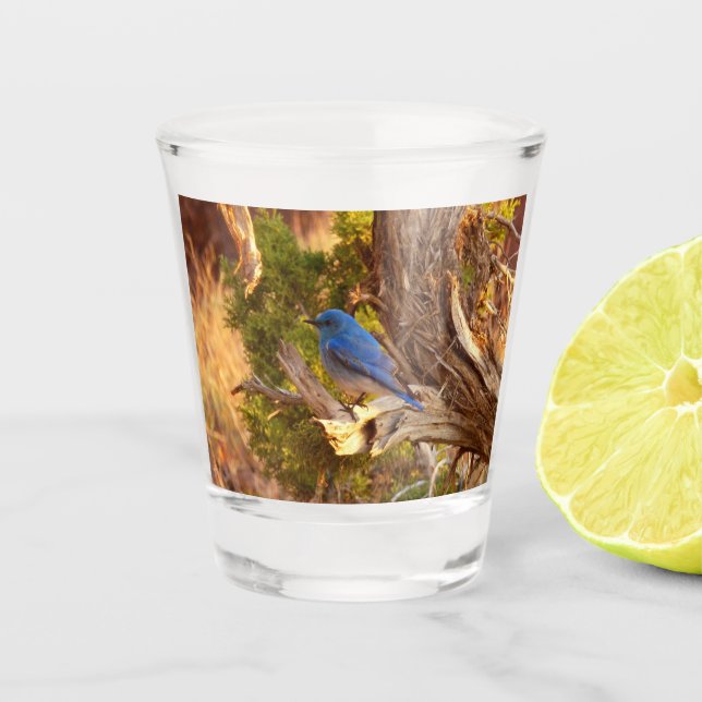 Vaso De Chupito Parque nacional de Arches (Anverso)