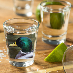 Vaso De Chupito Pato mallard de cabeza verde