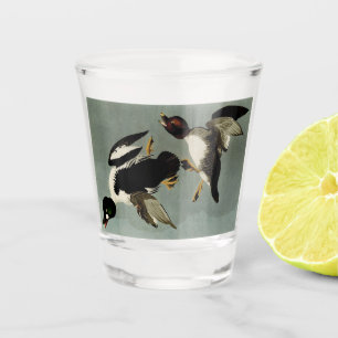 Vaso De Chupito Pato marino común de goldeneye