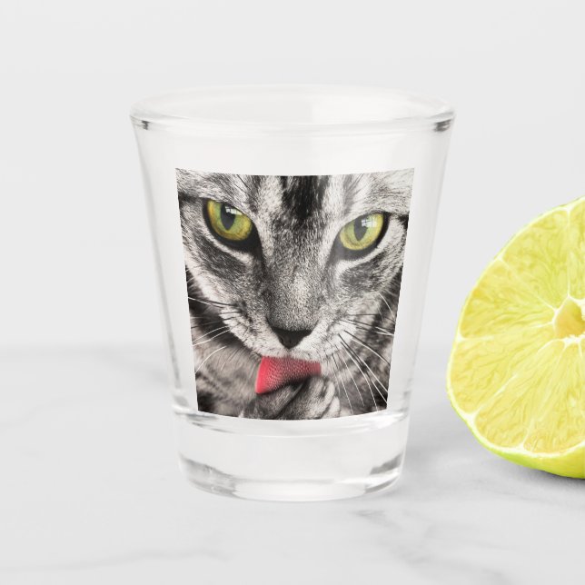 Vaso De Chupito Paw de golpes de gatos en tabby (Anverso)