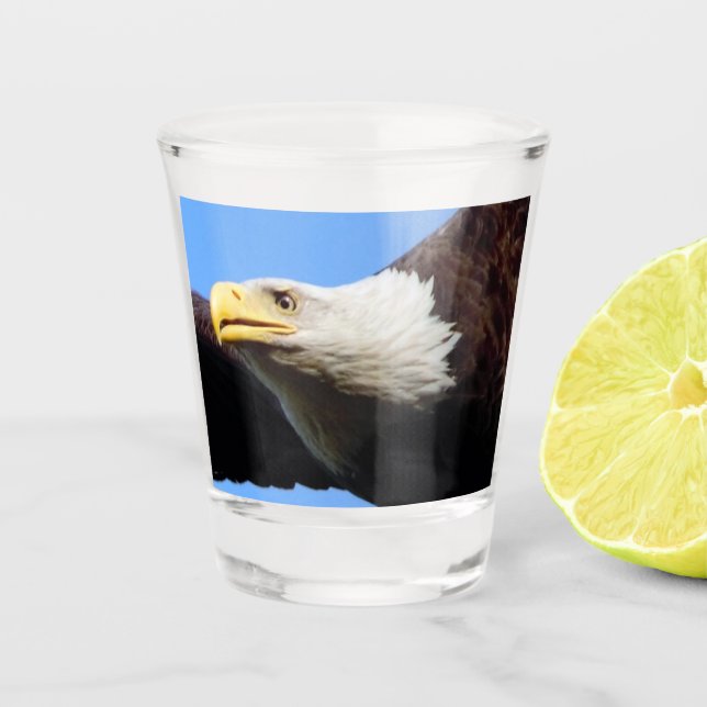 Vaso De Chupito Perfil de águila calva (Anverso)