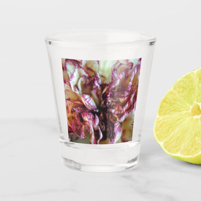 Vaso De Chupito Pétalos de canal rosa y crema (Anverso)