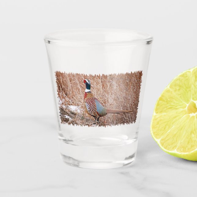 Vaso De Chupito Pheasant de cuello anillado (Anverso)