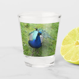 Vaso De Chupito Poder del Pavoreal Regio