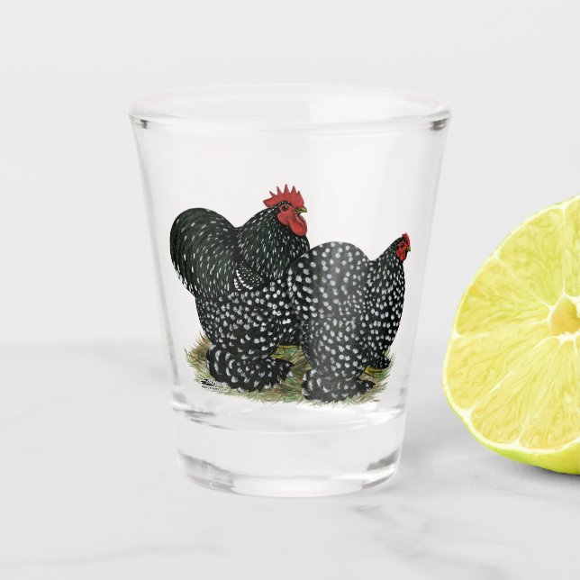 Vaso De Chupito Pollos con motor Cochin (Anverso)