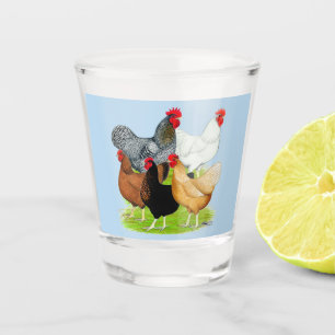 Vaso De Chupito Quinteto de pollo vinculado al sexo