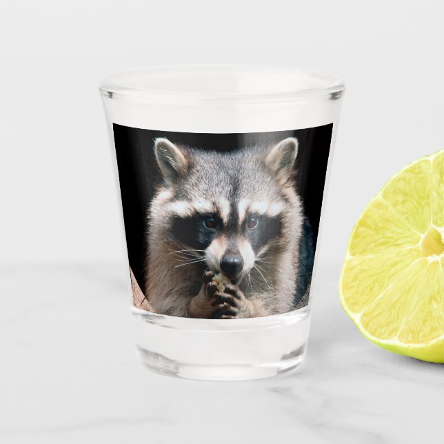 Vaso De Chupito Raccoon 004 (Anverso)