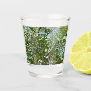 Vaso De Chupito Ramas de Dogwood florecen árboles de primavera