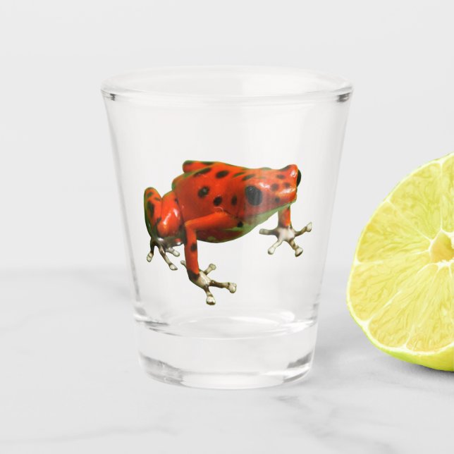 Vaso De Chupito Rana Dart de veneno rojo (Anverso)