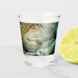 Vaso De Chupito Rattlesnake