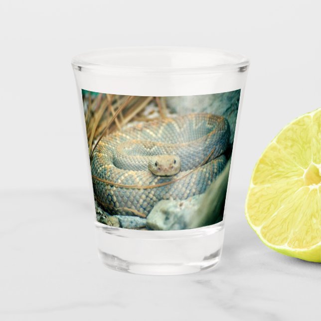 Vaso De Chupito Rattlesnake (Anverso)