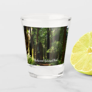 Vaso De Chupito Redwoods y helechos en el Parque Nacional Redwood